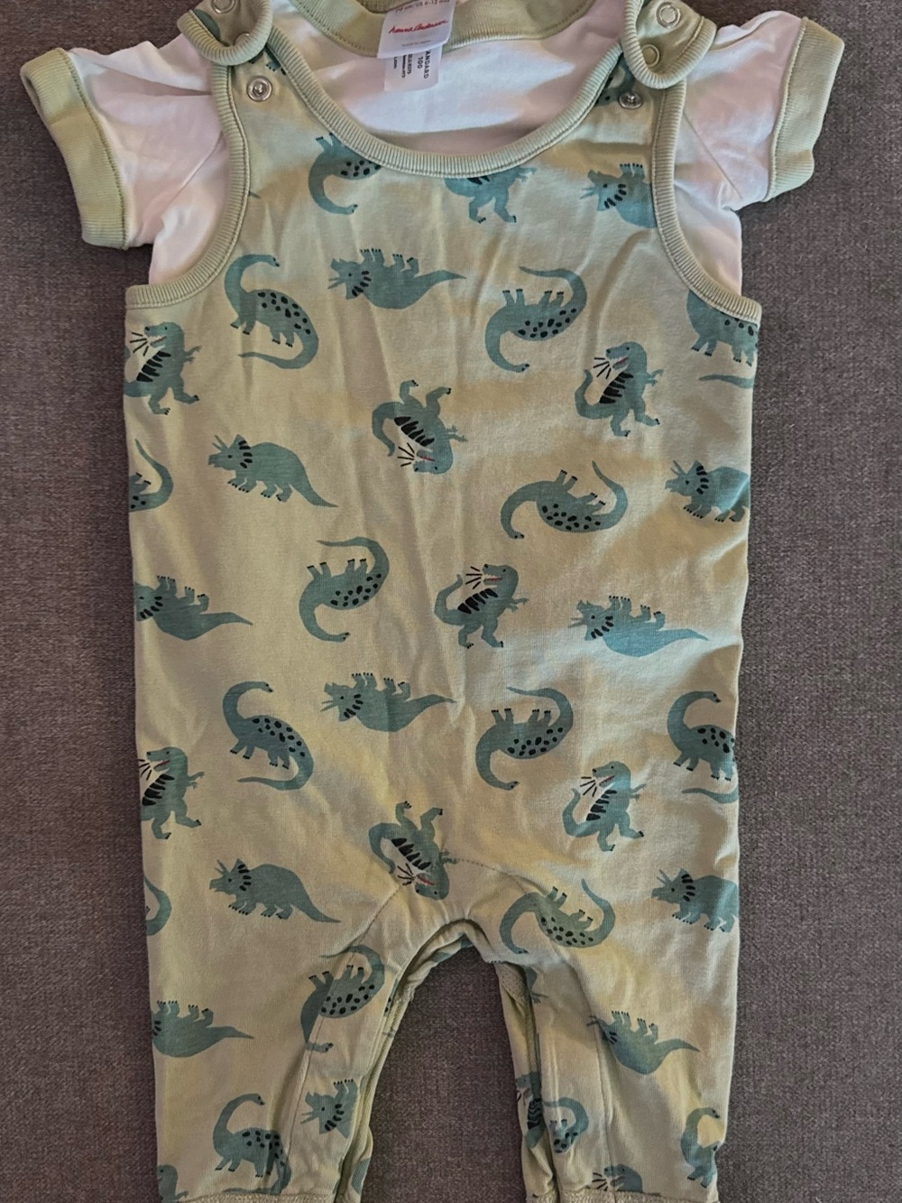 Hanna Andersson Green Dinosaur Shirt and Overall Set Size 6-12 Months